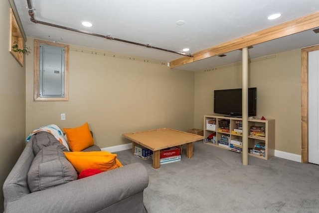 8 May St, Sharon, MA 02067 - recreation room with electric panel, recessed lighting, and carpet flooring