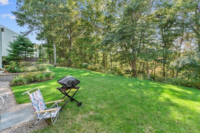 79 Chilton Ln Unit 79, Brewster, MA 02631 - view of yard