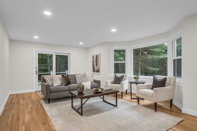 living room with a healthy amount of sunlight and light hardwood / wood-style flooring