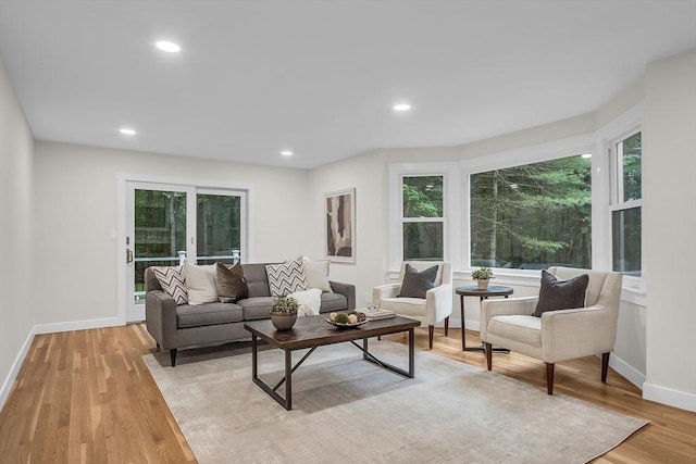 living room with light hardwood / wood-style flooring