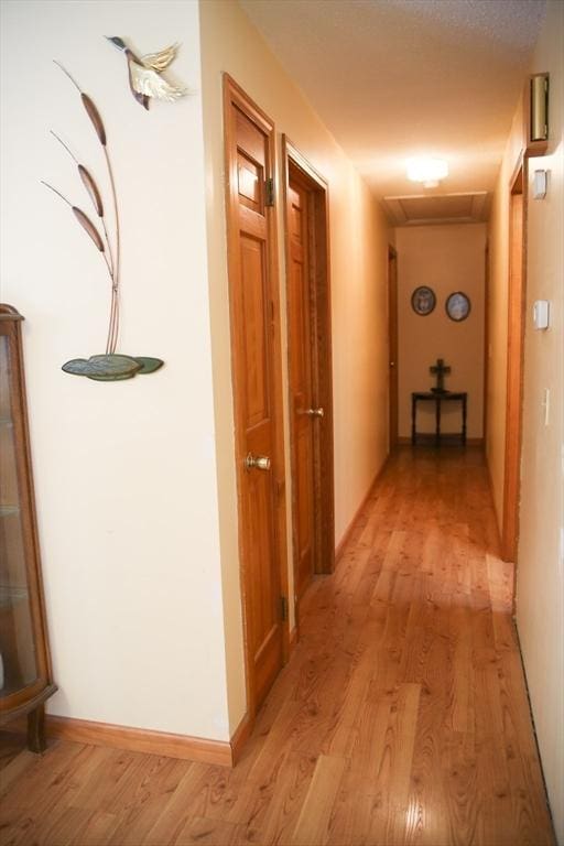 corridor with light hardwood / wood-style floors