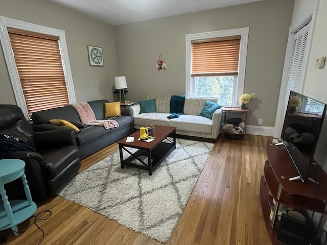 living room with hardwood / wood-style floors