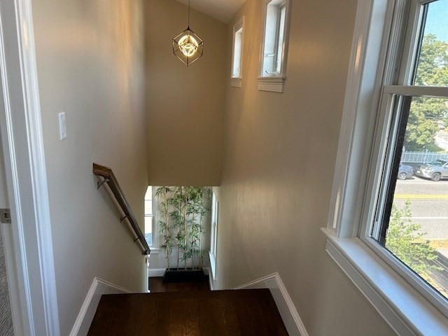 stairs featuring a healthy amount of sunlight and wood-type flooring