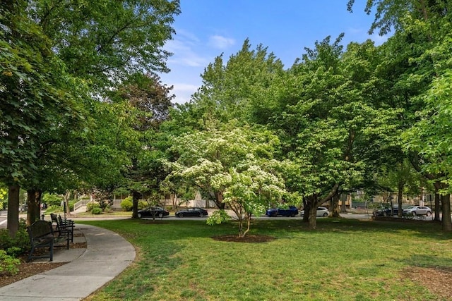 60 Dwight Unit 2, Brookline, MA 02446 - view of property's community featuring a lawn