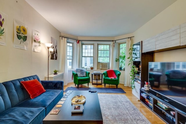 60 Dwight Unit 2, Brookline, MA 02446 - living room with light wood-type flooring and cooling unit