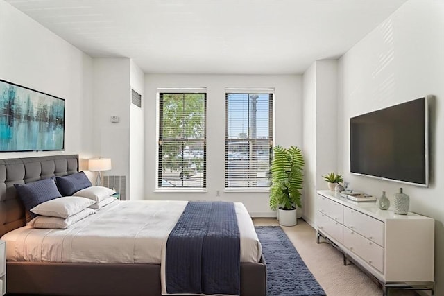 519 Harrison Ave Unit D117, Boston, MA 02118 - bedroom with light carpet and baseboards