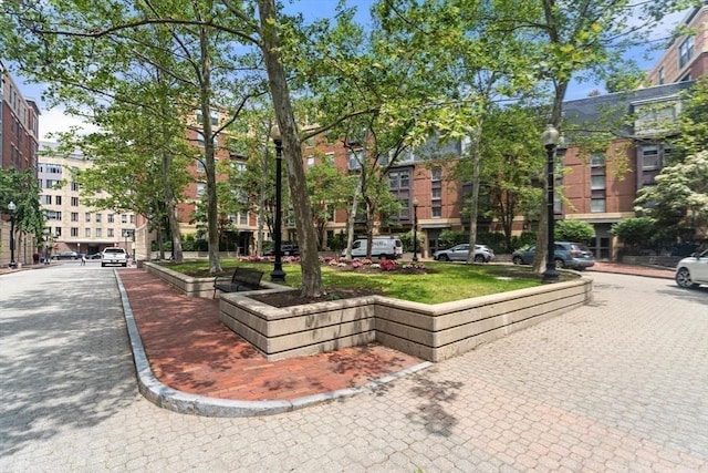 519 Harrison Ave Unit D117, Boston, MA 02118 - view of property's community