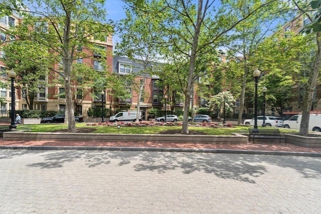 519 Harrison Ave Unit D117, Boston, MA 02118 - view of community