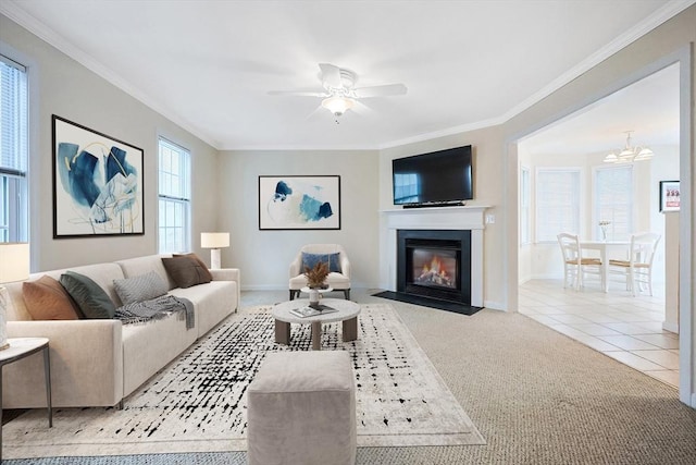 tiled living area with ceiling fan with notable chandelier, a fireplace with flush hearth, carpet, and ornamental molding