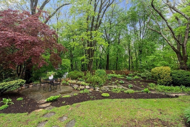 view of yard with a patio