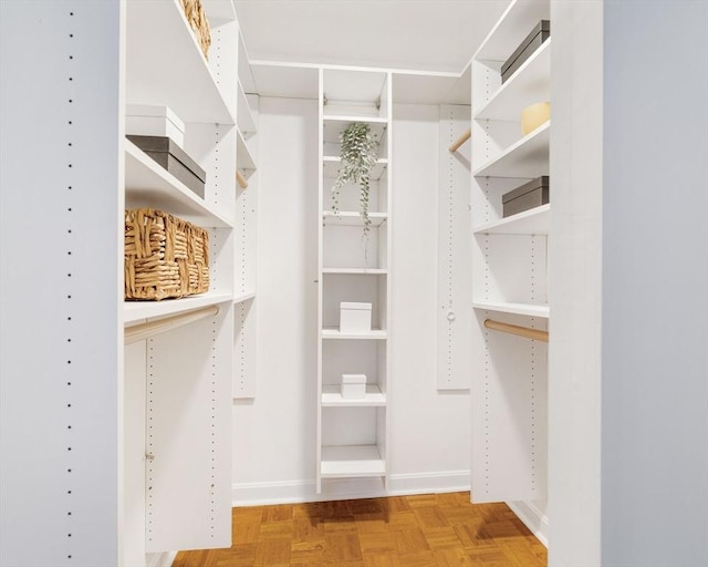 view of walk in closet