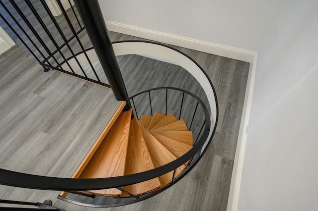 staircase featuring wood-type flooring