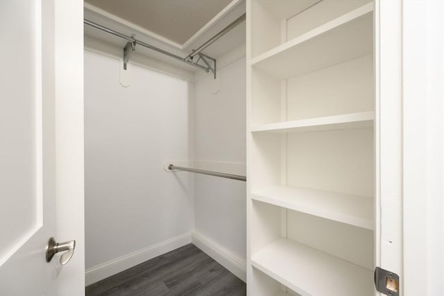 walk in closet featuring dark hardwood / wood-style floors