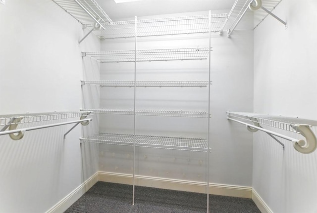 102 Pinehurst Dr Unit 102, East Longmeadow, MA 01028 - view of walk in closet