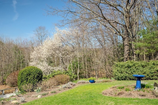 view of yard with a view of trees