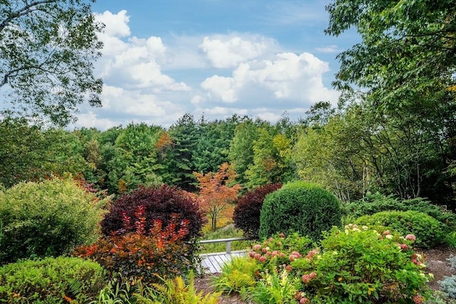 exterior space with a forest view