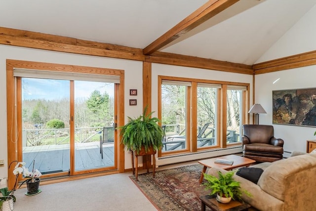 living room with lofted ceiling, carpet, plenty of natural light, and a baseboard radiator