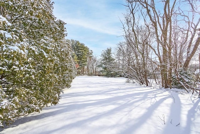 view of snowy yard