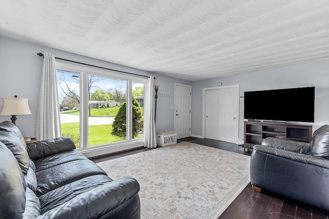 living room featuring dark wood finished floors
