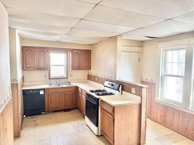 kitchen with range with gas stovetop, dishwasher, a wainscoted wall, light countertops, and a sink