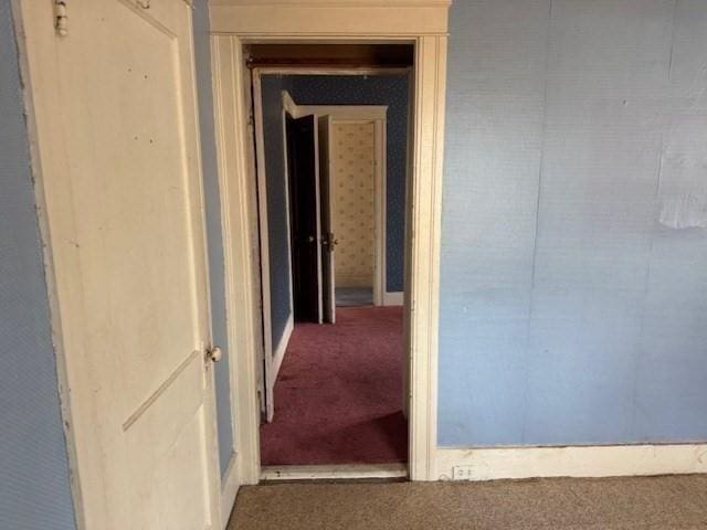 hallway featuring carpet flooring