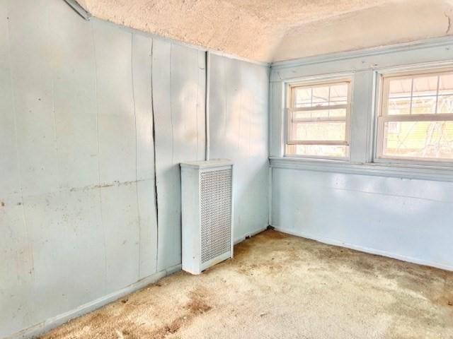 unfurnished room featuring carpet, vaulted ceiling, and a textured ceiling