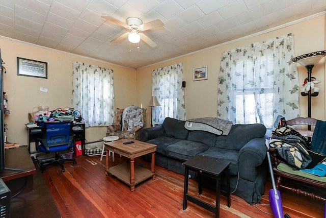 479 Main St, Hanson, MA 02341 - living room featuring crown molding, plenty of natural light, wood-type flooring, and a ceiling fan