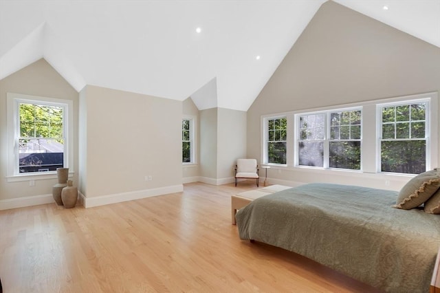 11 Cuba St, Andover, MA 01810 - bedroom featuring lofted ceiling, baseboards, light wood-style flooring, and multiple windows