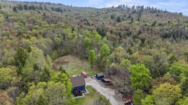 view of subject property with a forest