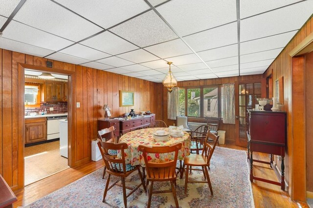 dining space featuring wood walls, a paneled ceiling, and light wood-style flooring
