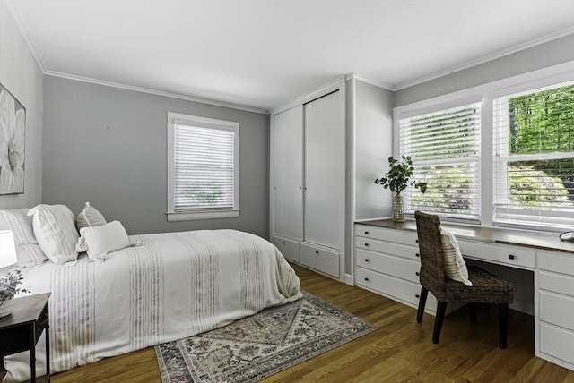 19 Mill Rd, Westborough, MA 01581 - bedroom with multiple windows, crown molding, wood finished floors, a desk, and a closet