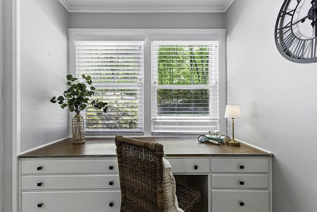 19 Mill Rd, Westborough, MA 01581 - home office with crown molding and built in study area