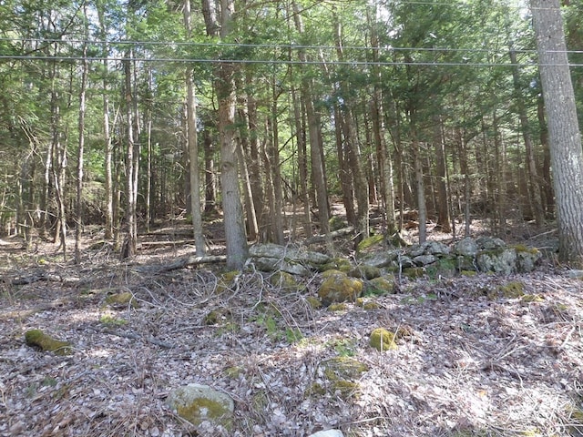 LOT1 Thayer Hill Rd, Worthington MA, 01098 land for sale