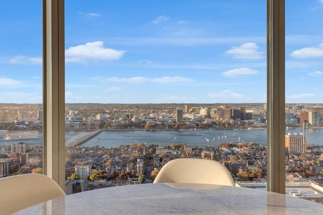 view of water feature featuring a view of city