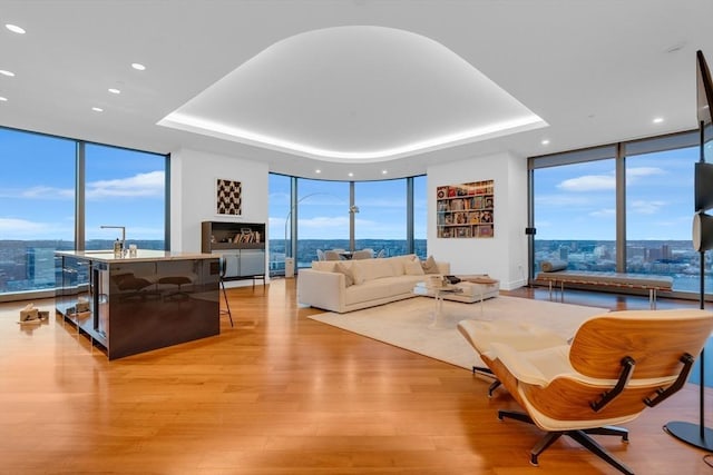 living area with a wall of windows and a tray ceiling