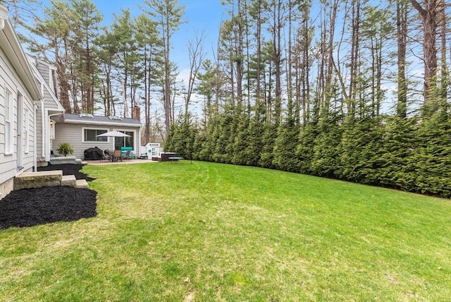 view of yard with a patio area