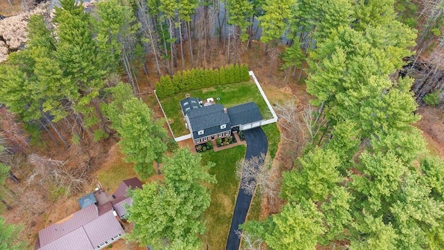 drone / aerial view