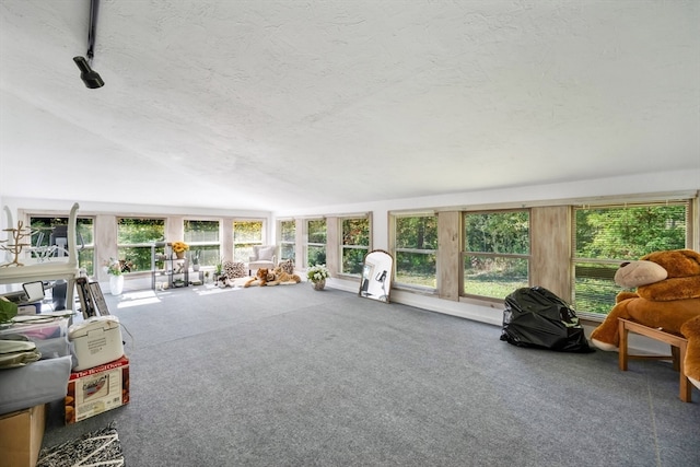 sunroom / solarium featuring vaulted ceiling and a healthy amount of sunlight