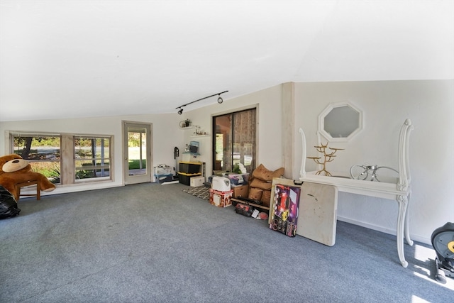 interior space featuring vaulted ceiling and carpet