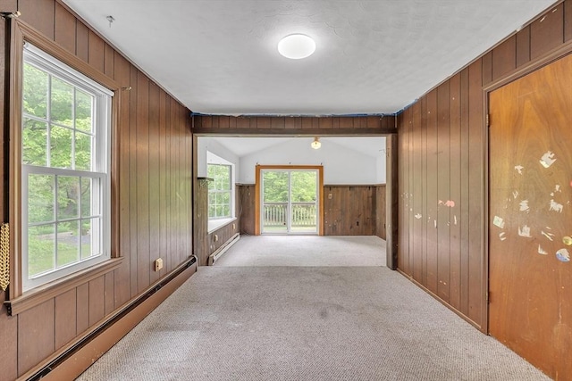 45 Alpine Dr, Southbridge, MA 01550 - hall with baseboard heating, carpet flooring, and wooden walls