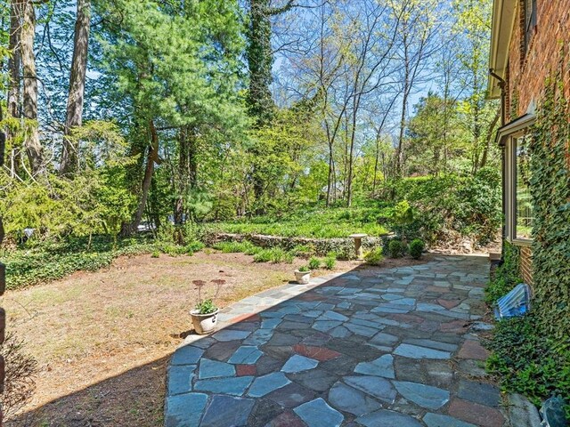 view of yard with a patio