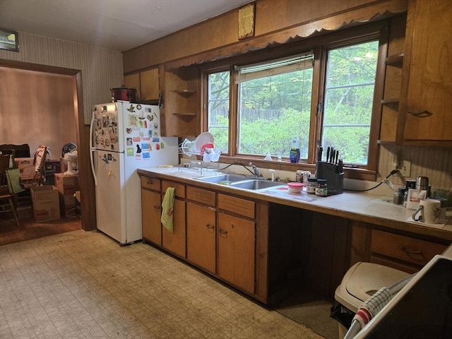kitchen with freestanding refrigerator, open shelves, a sink, light countertops, and healthy amount of natural light