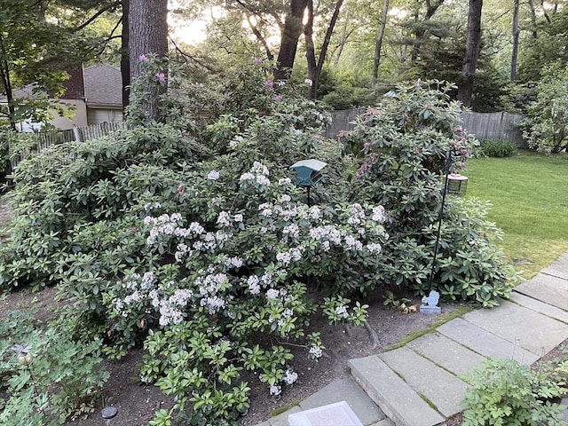 view of yard with fence