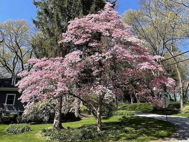 surrounding community with a yard