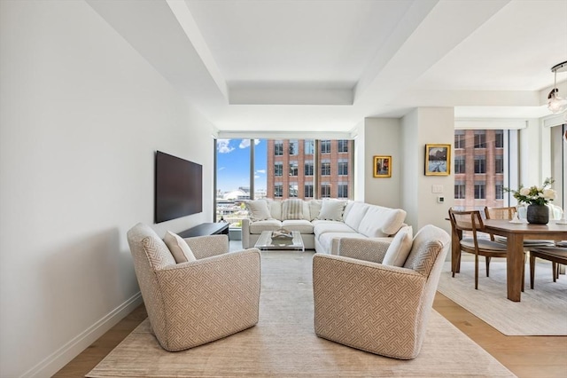 133 Seaport Blvd Unit 823, Boston, MA 02210 - living room featuring a tray ceiling, light wood finished floors, expansive windows, and baseboards