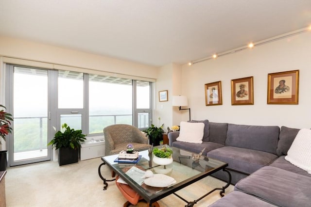 living room featuring track lighting and light carpet