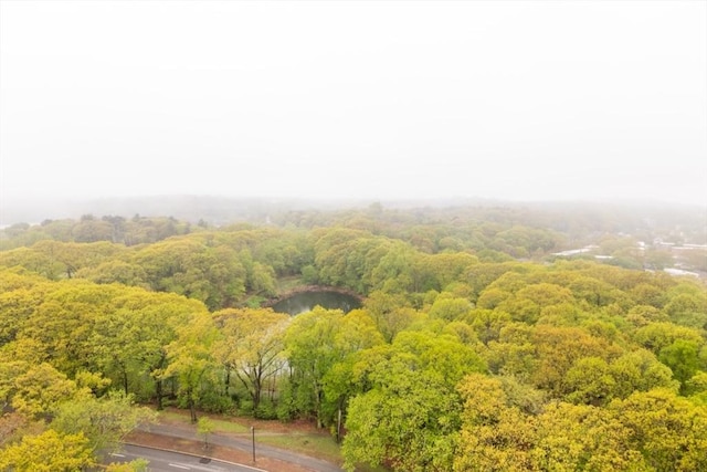 aerial view of a heavily wooded area and a nearby body of water