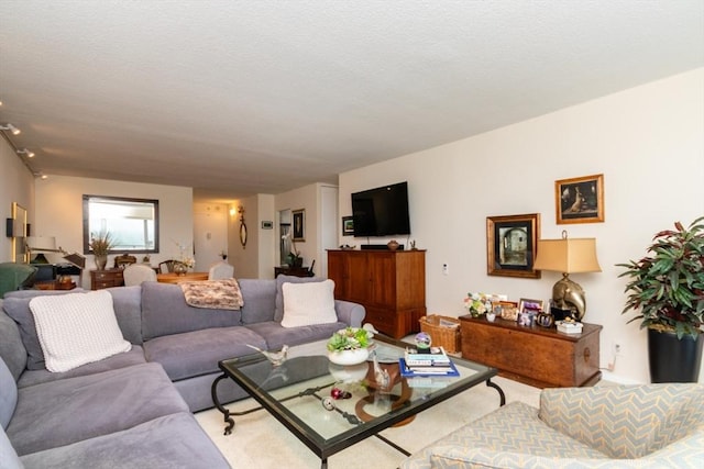 living area with a textured ceiling