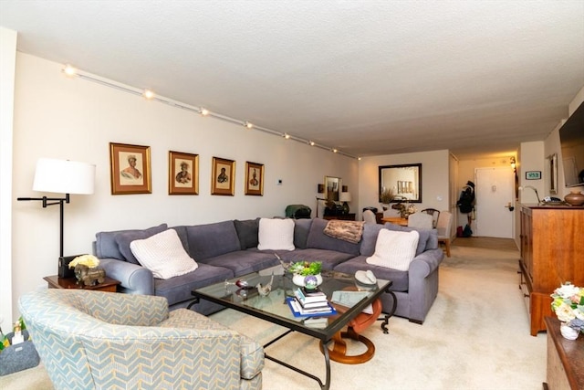living area with light colored carpet
