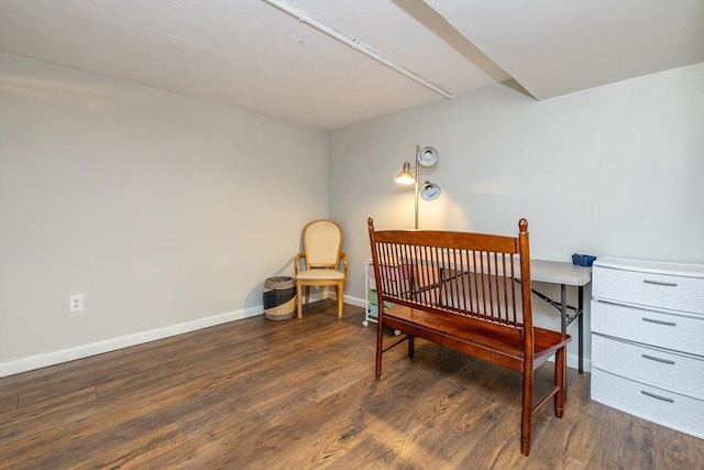 sitting room featuring dark hardwood / wood-style floors